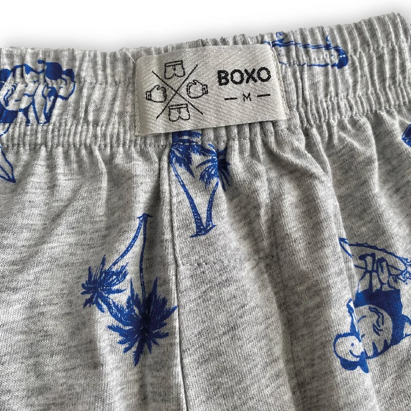 Grey Surfing Dinosaur Animal Boxer