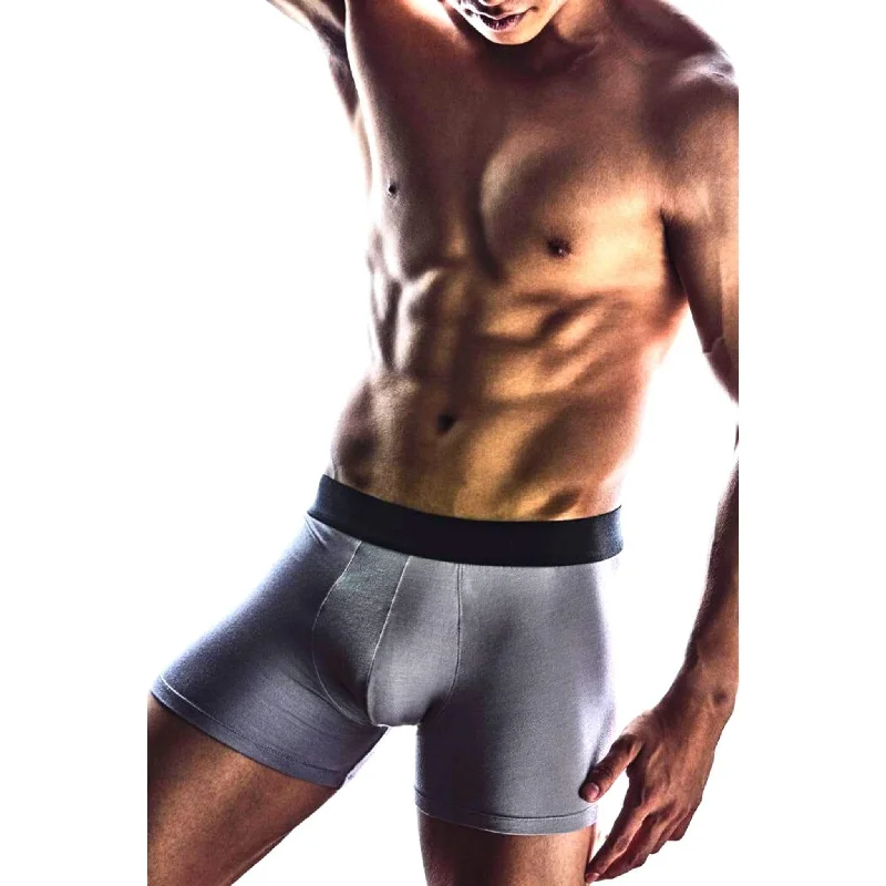 Micromodal Boxer Briefs in Grey